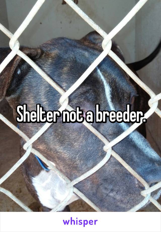Shelter not a breeder.