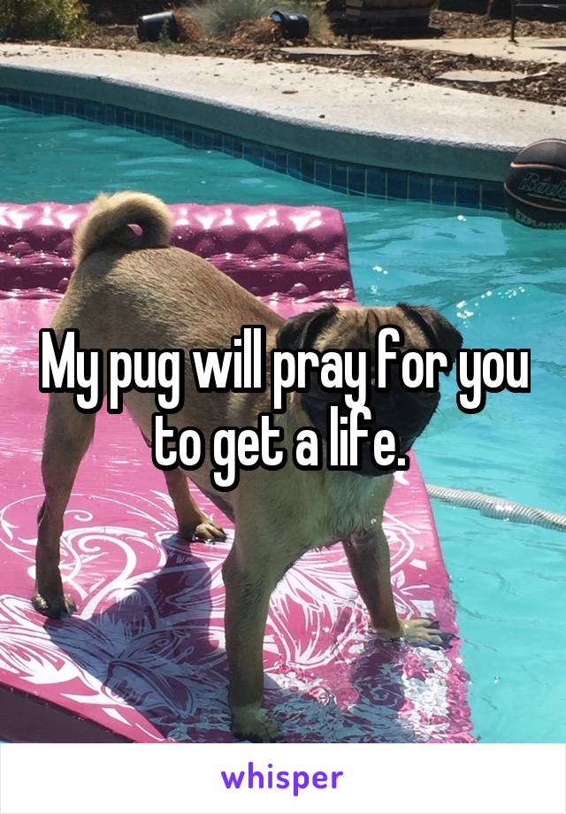 My pug will pray for you to get a life. 