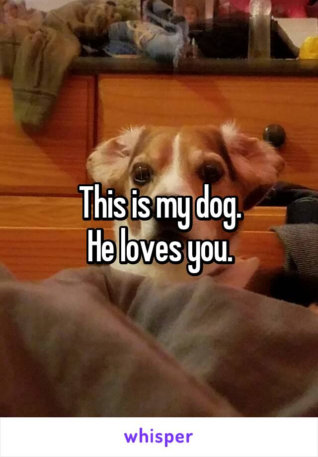 This is my dog.
He loves you.