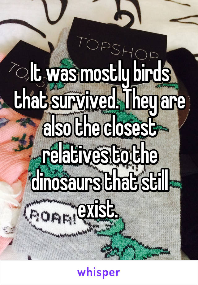 It was mostly birds that survived. They are also the closest relatives to the dinosaurs that still exist. 