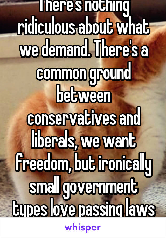 There's nothing ridiculous about what we demand. There's a common ground between conservatives and liberals, we want freedom, but ironically small government types love passing laws that limit freedom