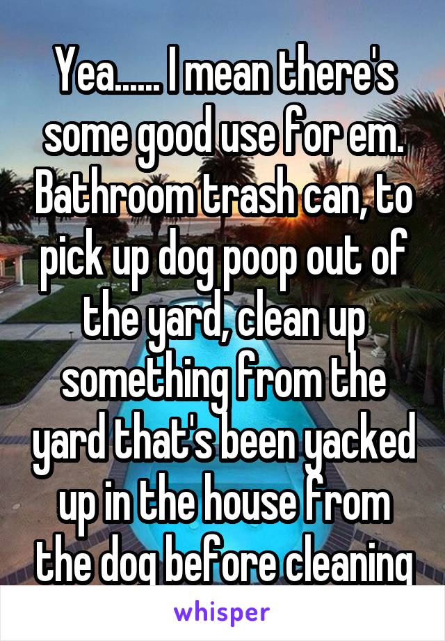 Yea...... I mean there's some good use for em. Bathroom trash can, to pick up dog poop out of the yard, clean up something from the yard that's been yacked up in the house from the dog before cleaning