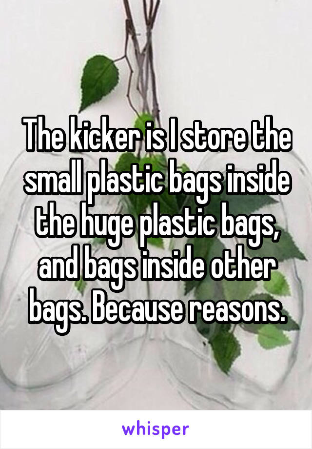 The kicker is I store the small plastic bags inside the huge plastic bags, and bags inside other bags. Because reasons.