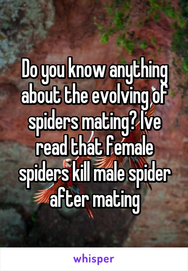 Do you know anything about the evolving of spiders mating? Ive read that female spiders kill male spider after mating