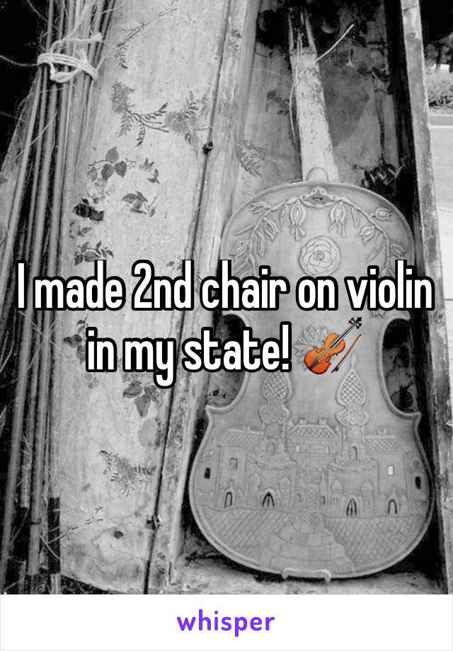 I made 2nd chair on violin in my state! 🎻