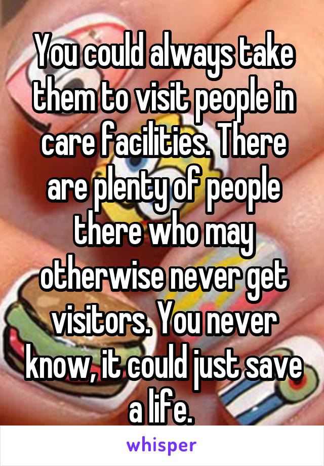 You could always take them to visit people in care facilities. There are plenty of people there who may otherwise never get visitors. You never know, it could just save a life. 