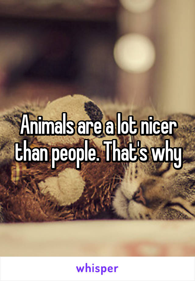 Animals are a lot nicer than people. That's why