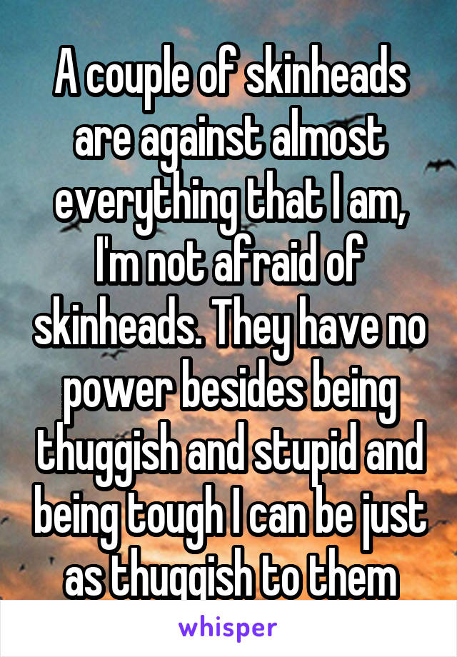 A couple of skinheads are against almost everything that I am, I'm not afraid of skinheads. They have no power besides being thuggish and stupid and being tough I can be just as thuggish to them