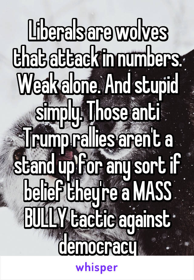 Liberals are wolves that attack in numbers. Weak alone. And stupid simply. Those anti Trump rallies aren't a stand up for any sort if belief they're a MASS BULLY tactic against democracy