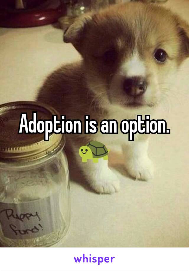 Adoption is an option. 🐢