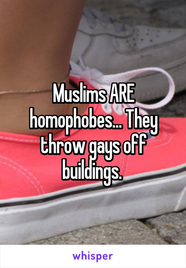 Muslims ARE homophobes... They throw gays off buildings. 