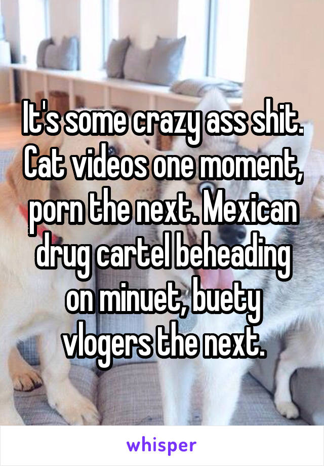 It's some crazy ass shit. Cat videos one moment, porn the next. Mexican drug cartel beheading on minuet, buety vlogers the next.