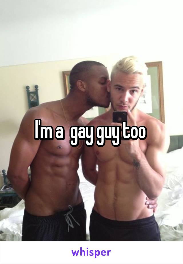 I'm a  gay guy too 