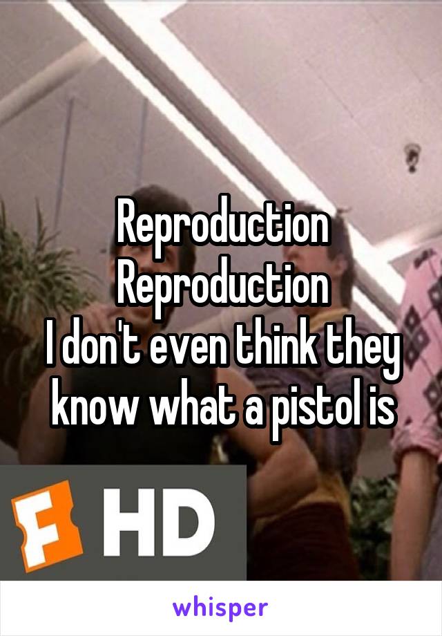 Reproduction
Reproduction
I don't even think they know what a pistol is