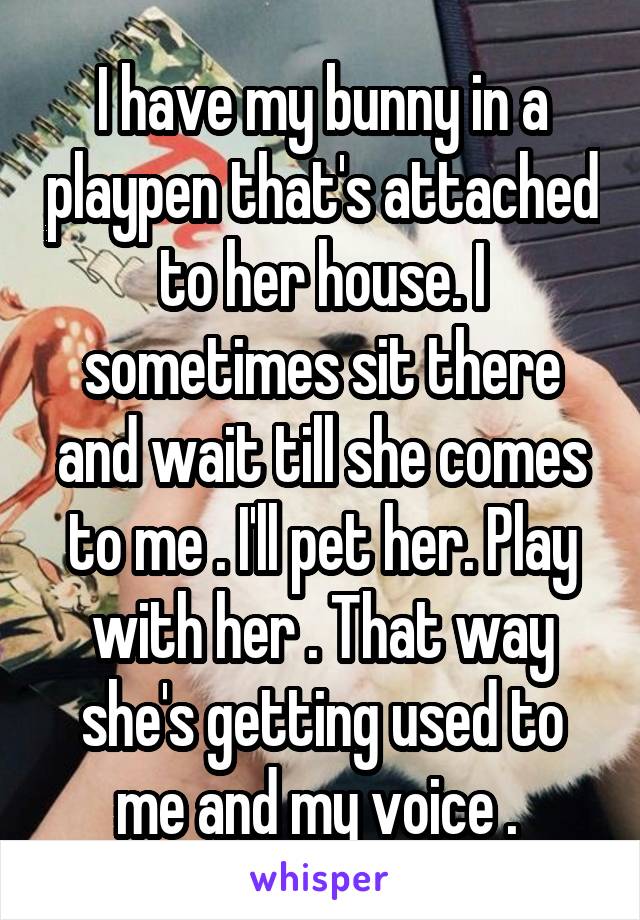 I have my bunny in a playpen that's attached to her house. I sometimes sit there and wait till she comes to me . I'll pet her. Play with her . That way she's getting used to me and my voice . 