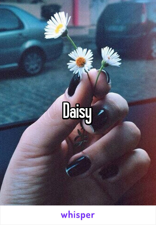 Daisy 
