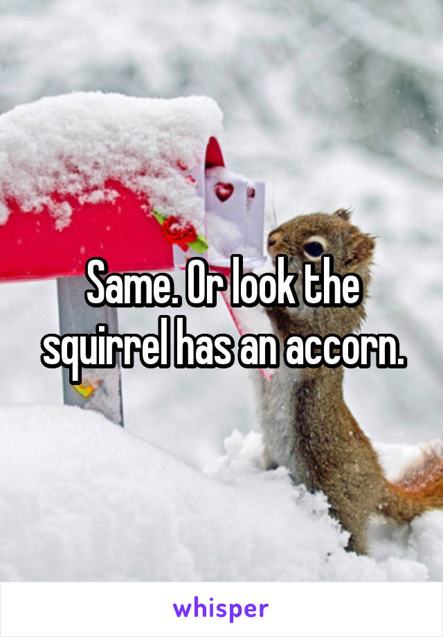 Same. Or look the squirrel has an accorn.