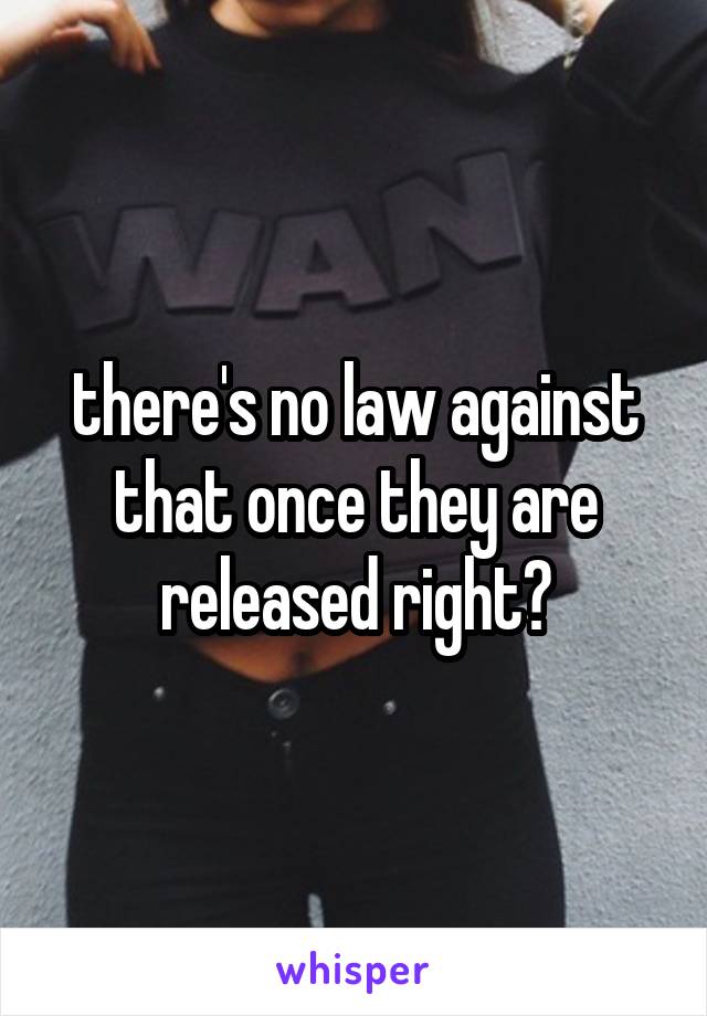 there's no law against that once they are released right?