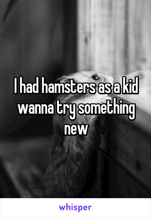 I had hamsters as a kid wanna try something new