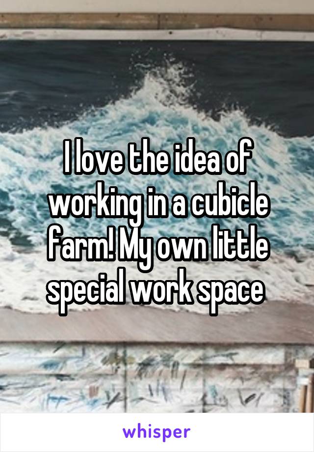 I love the idea of working in a cubicle farm! My own little special work space 