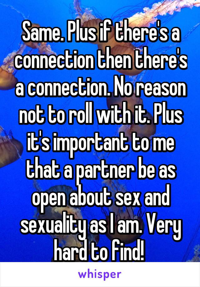 Same. Plus if there's a connection then there's a connection. No reason not to roll with it. Plus it's important to me that a partner be as open about sex and sexuality as I am. Very hard to find! 