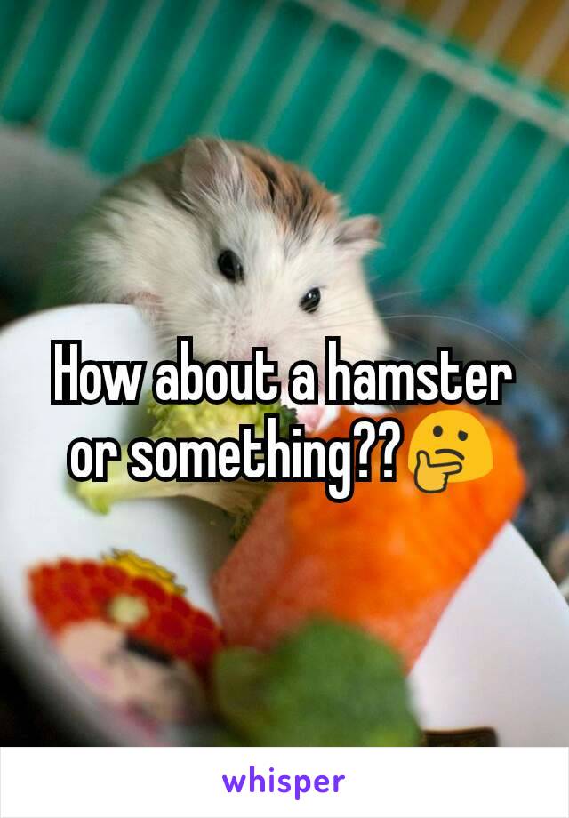 How about a hamster or something??🤔