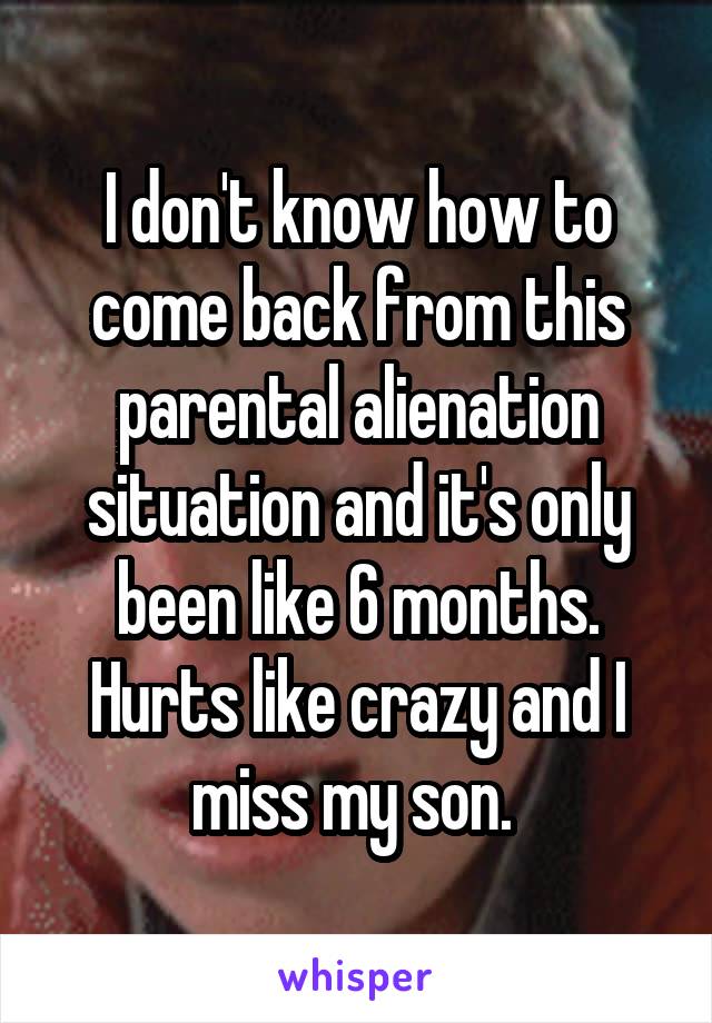 I don't know how to come back from this parental alienation situation and it's only been like 6 months. Hurts like crazy and I miss my son. 