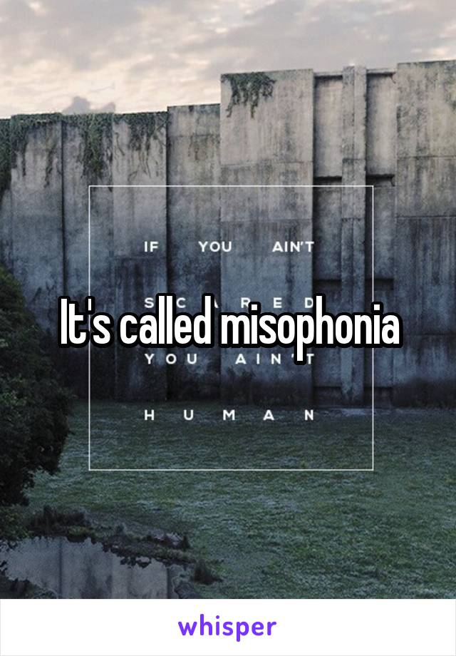 It's called misophonia