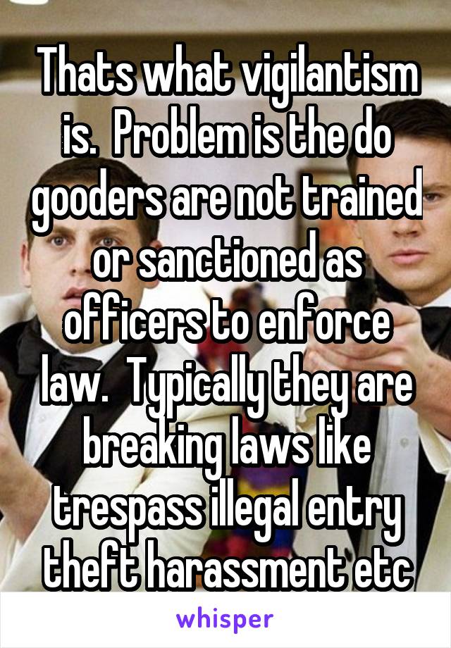 Thats what vigilantism is.  Problem is the do gooders are not trained or sanctioned as officers to enforce law.  Typically they are breaking laws like trespass illegal entry theft harassment etc