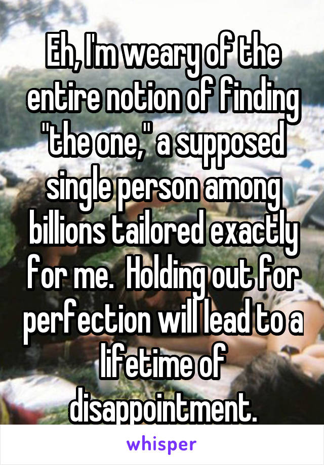 Eh, I'm weary of the entire notion of finding "the one," a supposed single person among billions tailored exactly for me.  Holding out for perfection will lead to a lifetime of disappointment.