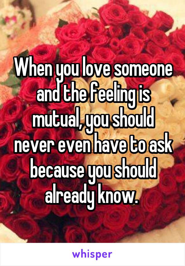 when-you-love-someone-and-the-feeling-is-mutual-you-should-never-even