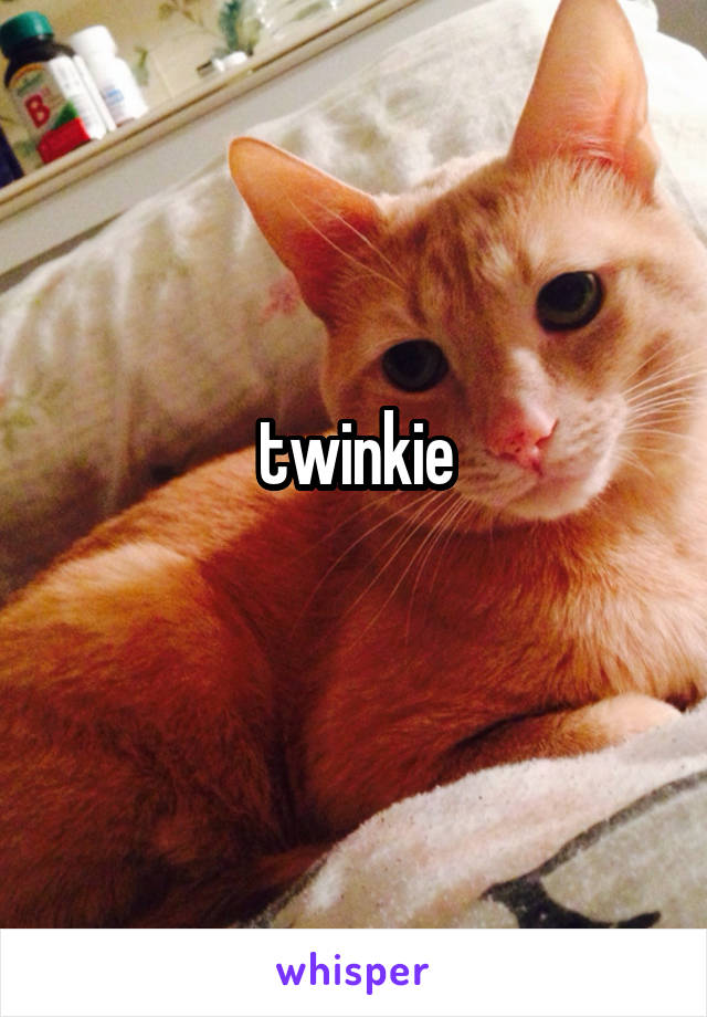 twinkie
