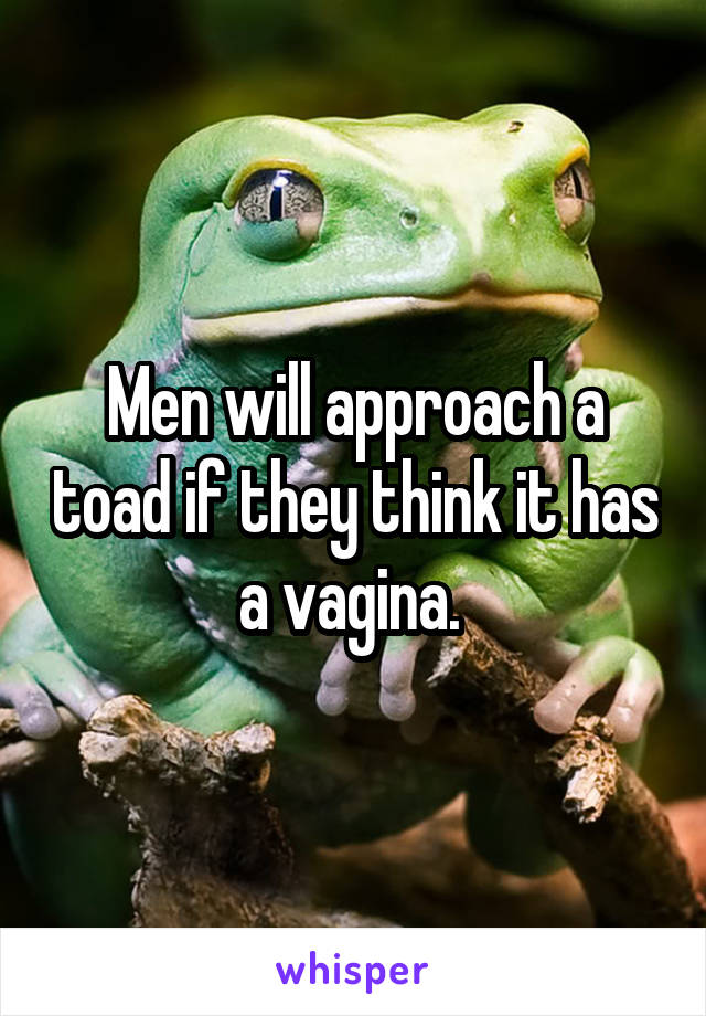 Men will approach a toad if they think it has a vagina. 