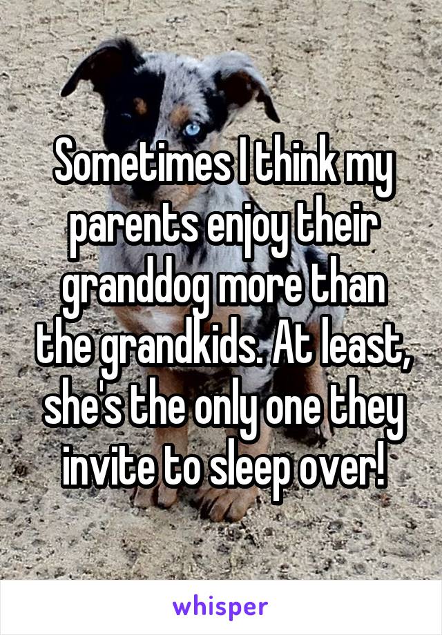 Sometimes I think my parents enjoy their granddog more than the grandkids. At least, she's the only one they invite to sleep over!