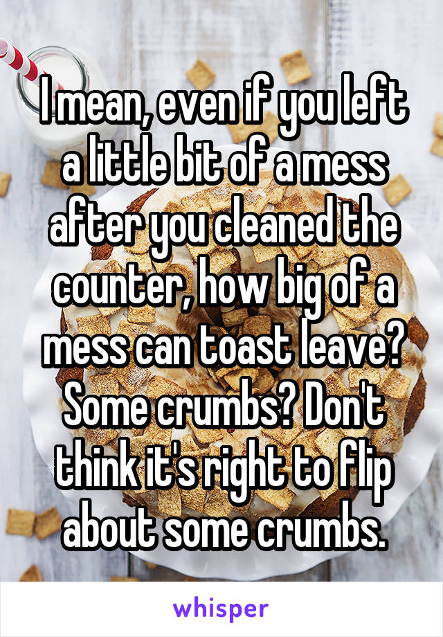I mean, even if you left a little bit of a mess after you cleaned the counter, how big of a mess can toast leave? Some crumbs? Don't think it's right to flip about some crumbs.