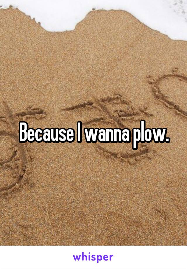 Because I wanna plow.