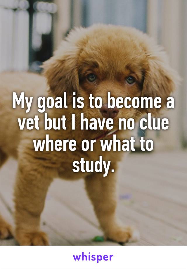 My goal is to become a vet but I have no clue where or what to study.