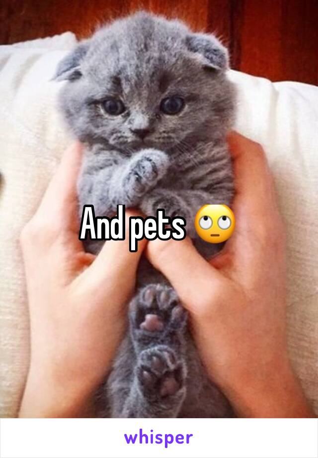 And pets 🙄