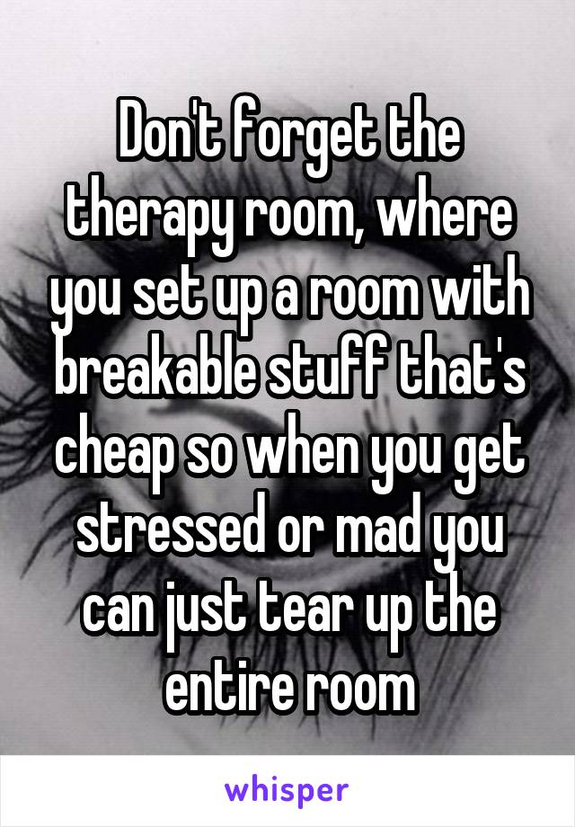 Don't forget the therapy room, where you set up a room with breakable stuff that's cheap so when you get stressed or mad you can just tear up the entire room