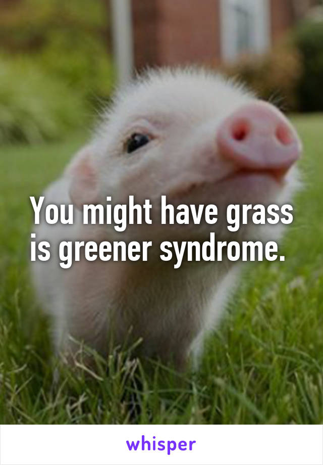 You might have grass is greener syndrome. 