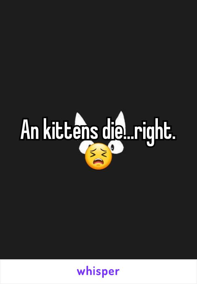 An kittens die...right. 😣