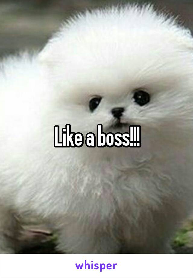 Like a boss!!!