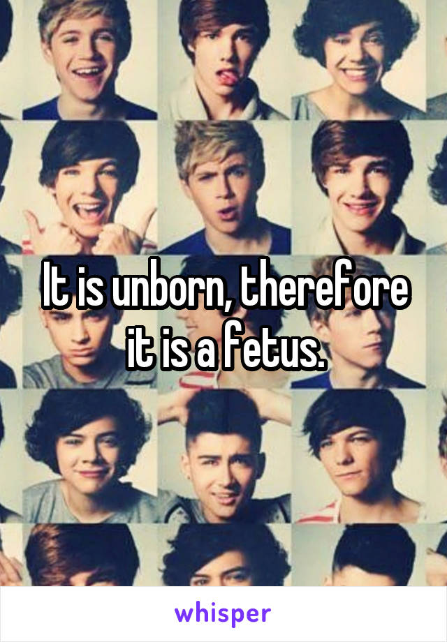 It is unborn, therefore it is a fetus.