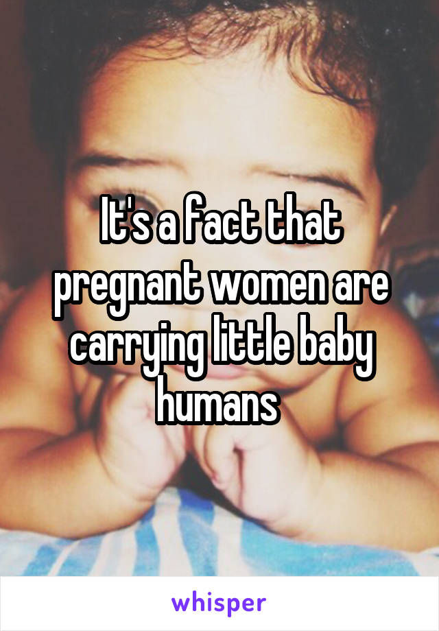 It's a fact that pregnant women are carrying little baby humans 