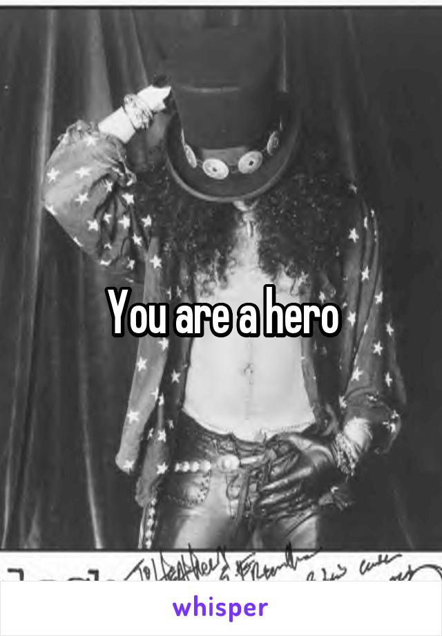 You are a hero