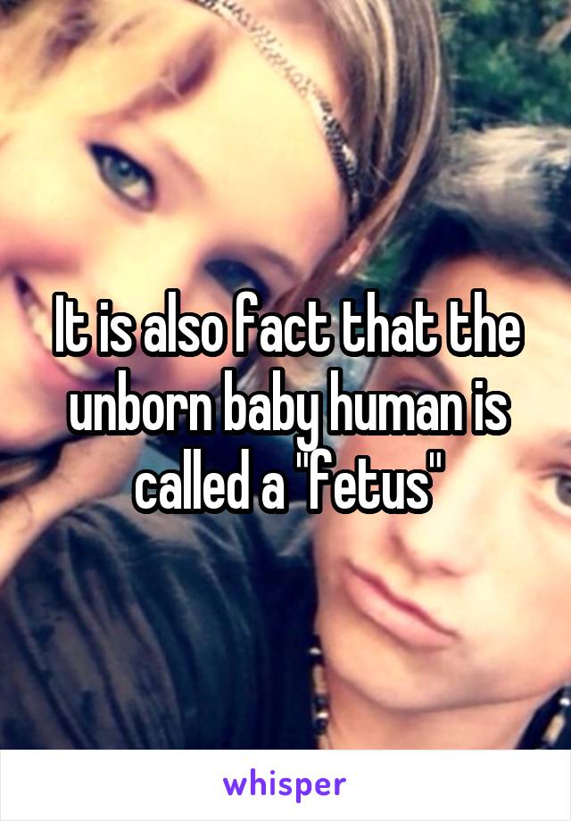 It is also fact that the unborn baby human is called a "fetus"