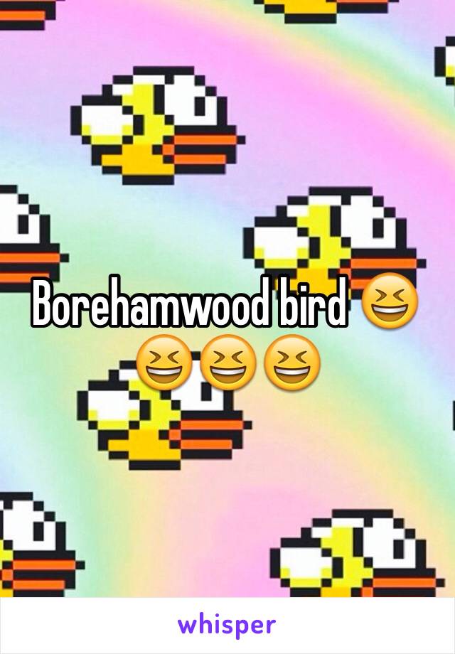 Borehamwood bird 😆😆😆😆