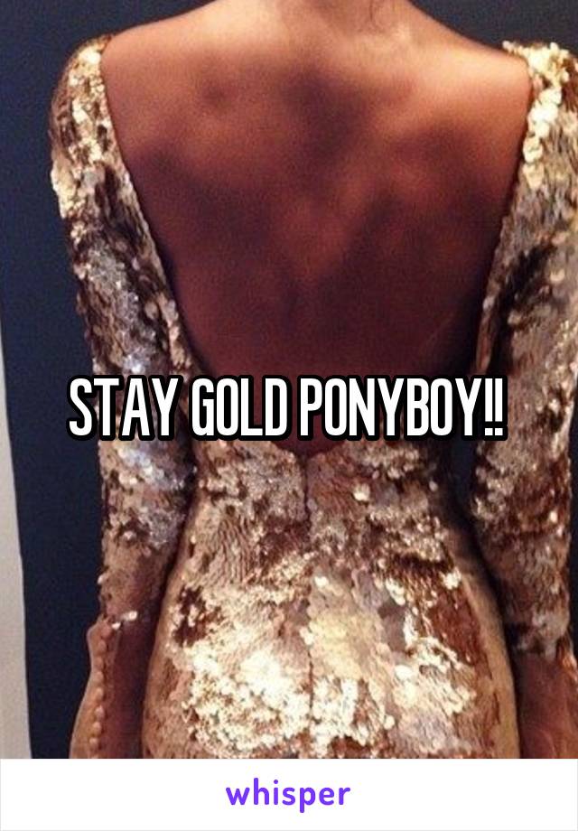 STAY GOLD PONYBOY!! 