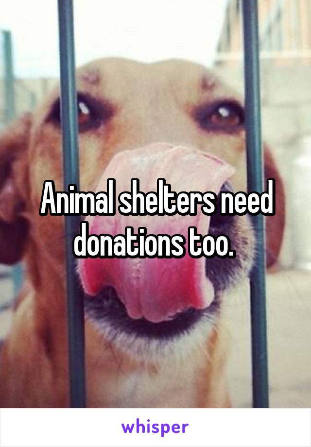 Animal shelters need donations too. 