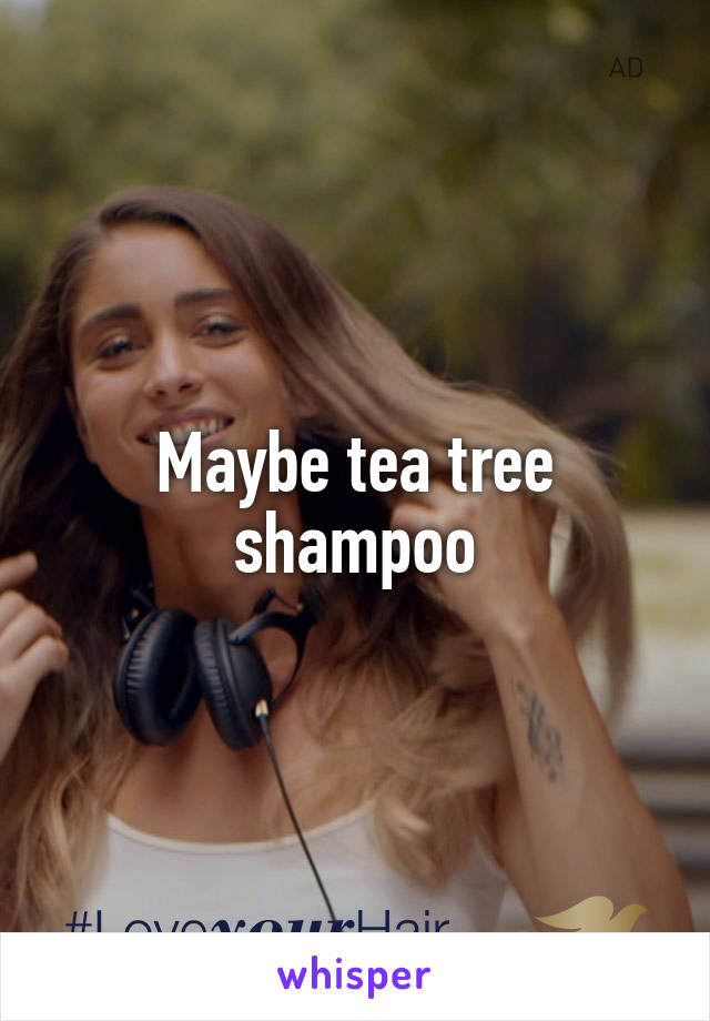 Maybe tea tree shampoo